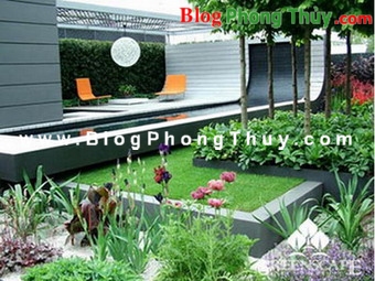 Nước và cây theo Phong Thủy