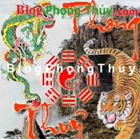 Vì sao lại là Phong Thủy?