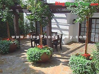 Chọn giống cây trồng theo phong thủy