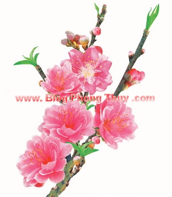Ý Nghĩa Của Tết Nguyên Đán