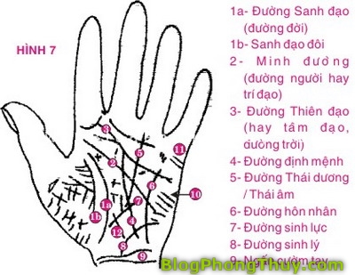 Xem tướng tay theo phong thủy (P.9)