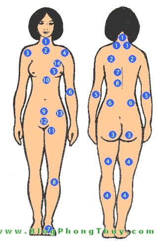 Xem nốt ruồi trên thân thể người phụ nữ – mặt trước