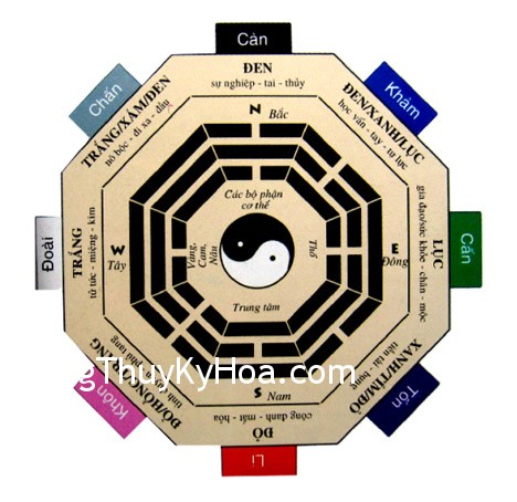 Kích hoạt các cung