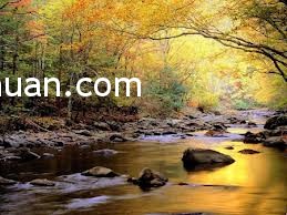 thien nhien thien nhien Giải pháp cho cấu trúc nguy hiểm