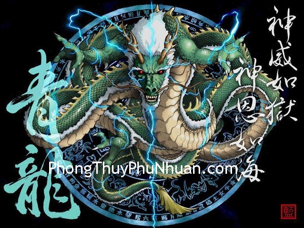 rong rong Linh vật bảo vệ