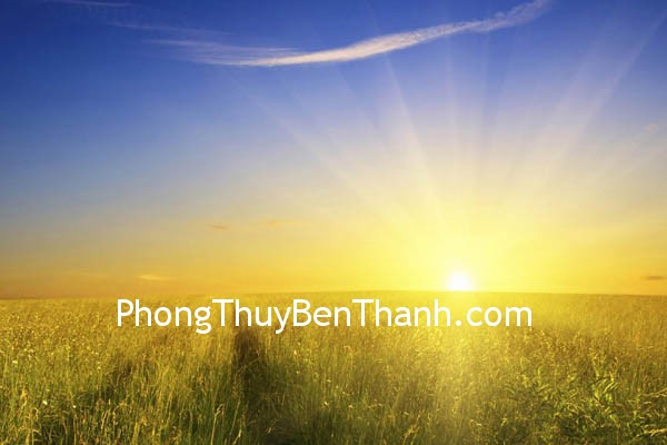 Mặt trời kích hoạt mối quan hệ xã hội