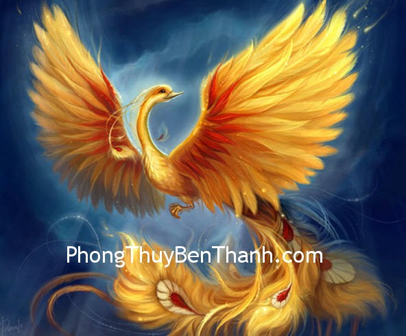 Phượng hoàng mang đến cơ hội về tình duyên