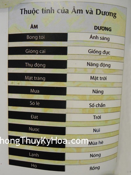 Thuộc tính của Âm và Dương