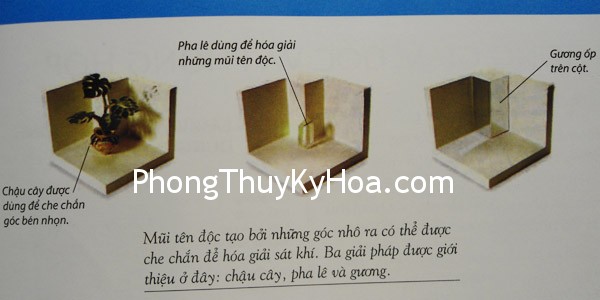 DSC07116 DSC07116 Cách sắp xếp văn phòng
