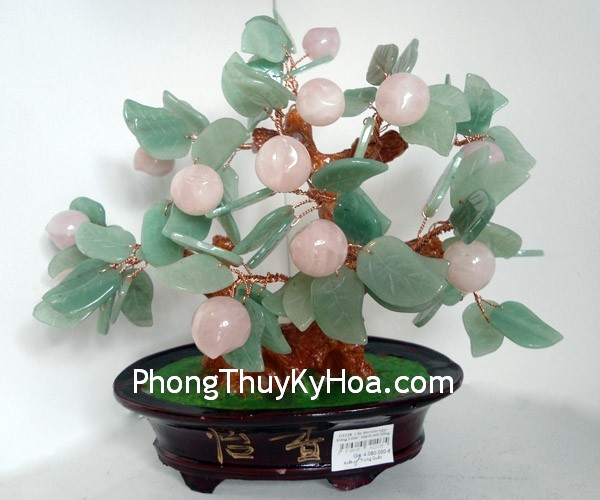 Thu hút vận may