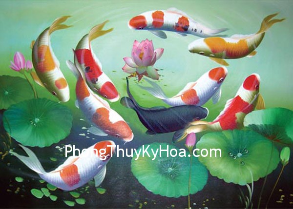 Cá và tài lộc