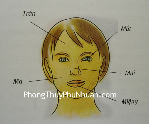 Năm yếu tố quan trọng của gương mặt