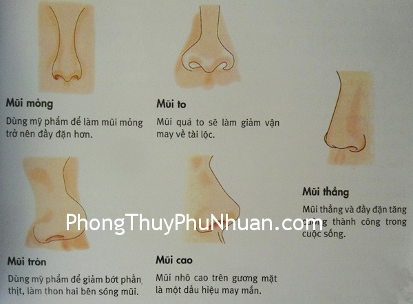 Mũi và vận may về tài lộc