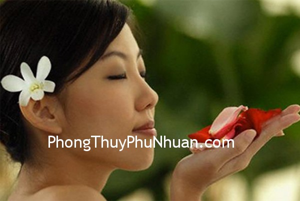 dieu ky dieu dieu ky dieu Điều kỳ diệu của tinh thần