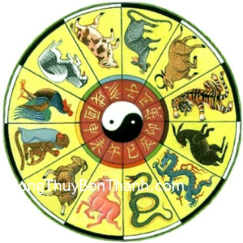 nhung-cap-xung-khac nhung cap xung khac Những cặp xung khắc