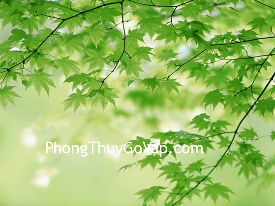 Hóa giải vận rủi từ bên trên