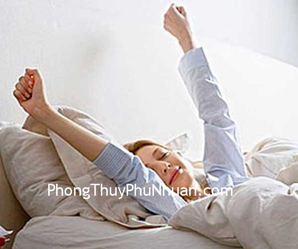 ngu-day ngu day Mong muốn tích cực cải thiện phong thủy
