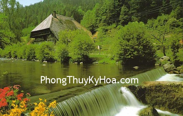 CANH NHA TRANH CANH NHA TRANH Biểu tượng may mắn ở Phương Tây