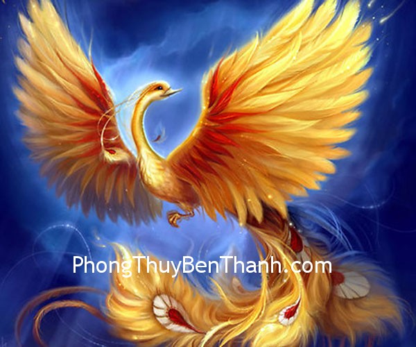 chim-phuong-hoang chim phuong hoang Đàn ông độc thân và biểu tượng chim phượng hoàng