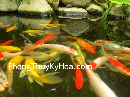 Tăng cường quan hệ hôn nhân