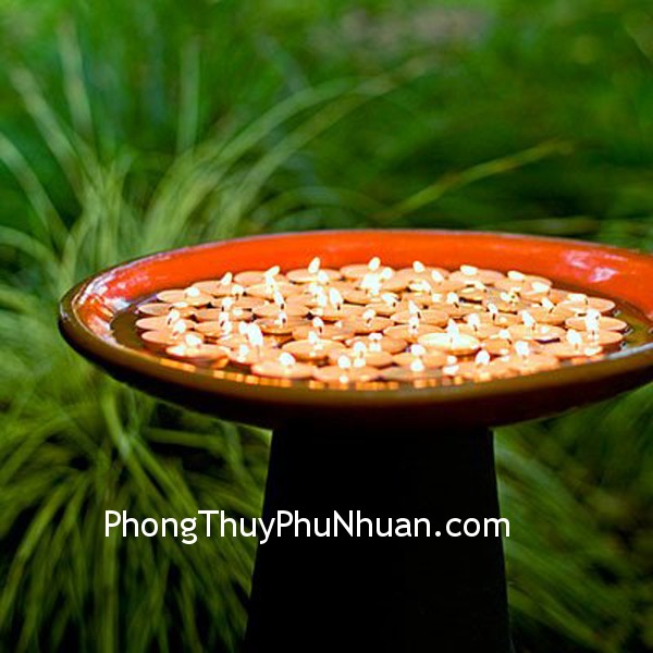 Nuôi dưỡng tinh hoa của nhân mệnh