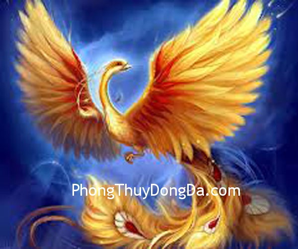 phuong hoang phuong hoang Phượng hoàng đỏ ở hướng Nam