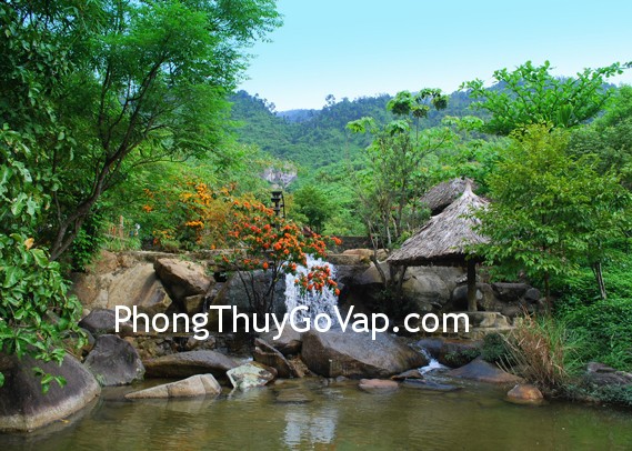 Phóng sinh cá để gia đình hòa thuận