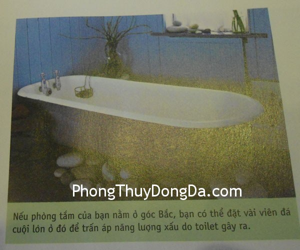 kich hoat van may nghe nghiep kich hoat van may nghe nghiep Kích hoạt vận may nghề nghiệp