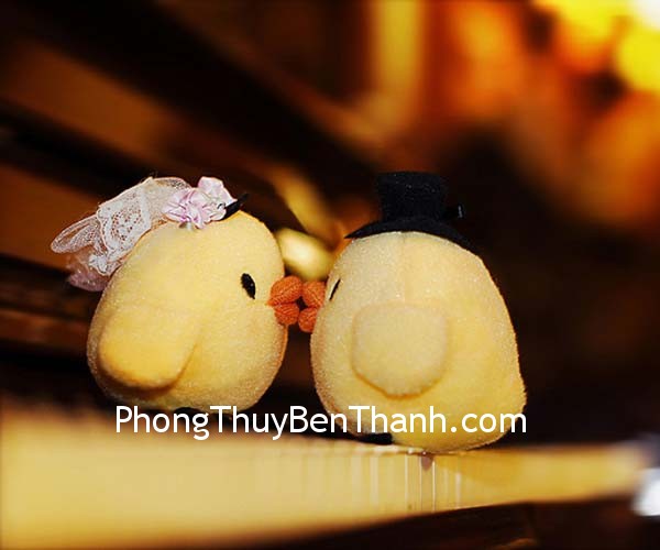 tuong-hop-tuoi-dau tuong hop tuoi dau Tuổi Dậu và những tương hợp trong tình duyên