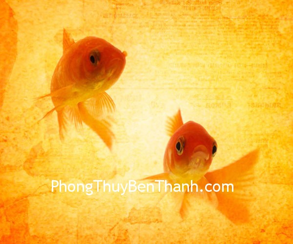 Biểu tượng song ngư cho hạnh phúc tàn đầy