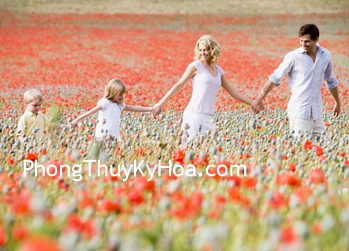 family family Phong thủy cho sức khỏe