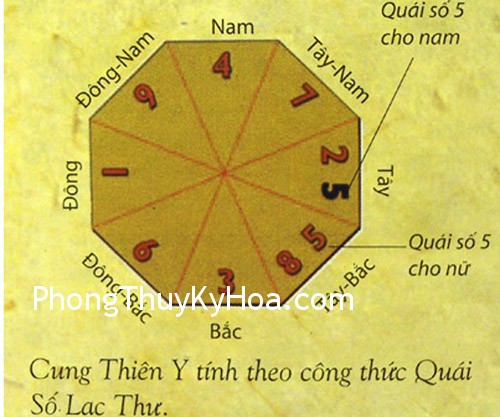 DSC07706 DSC077062 Phong thủy cho sức khỏe