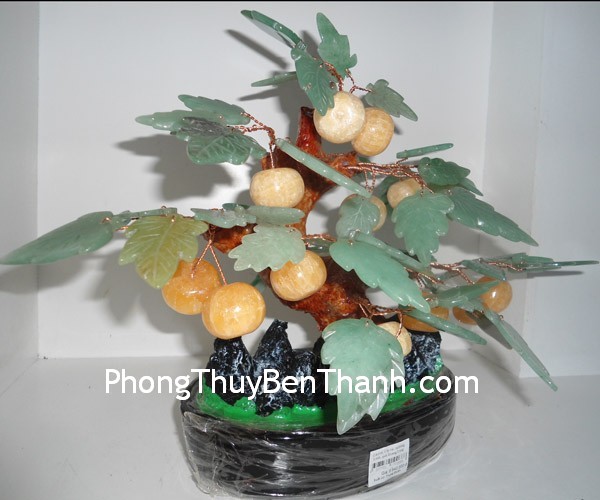 cay-tac-phong-thuy-01 cay tac phong thuy 01 Tám biểu tượng phong thủy