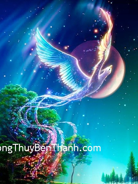 Cải thiện vận may với phượng hoàng linh thiêng