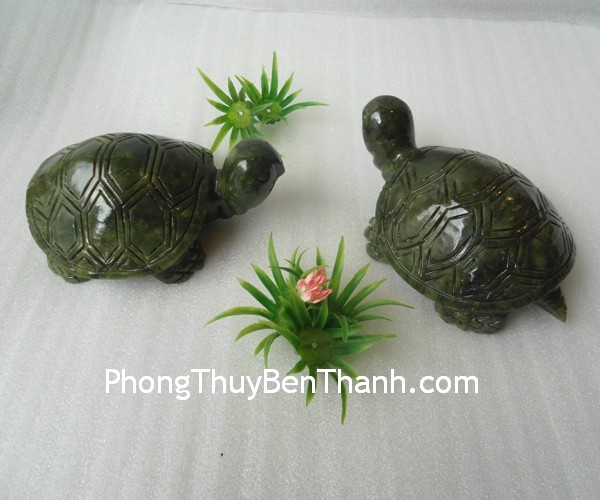 Phong thủy biểu tượng con người, động vật, thực vật