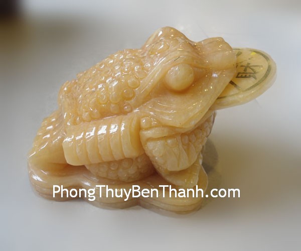 coc-hoang-long-lon-dt208-01 coc hoang long lon dt208 01 Truyền thuyết cóc ba chân