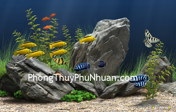 HO CA Hồ cá nhỏ tăng cường cung quan lộc