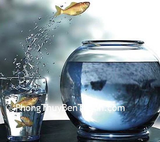 moi-quan-he moi quan he Cá trong nước kết hợp hai biểu tượng mạnh nhất về thịnh vượng