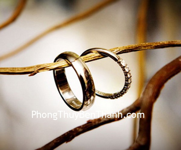 Tình yêu tròn đầy