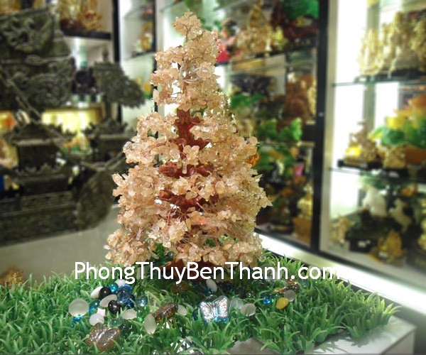 Cây thông vững chắc và kiên định là biểu tượng tối thượng của nội lực