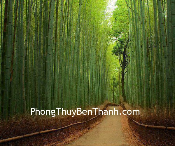 Tre trong tranh thư pháp tượng trưng cho may mắn và sự kiên định trước nghịch cảnh