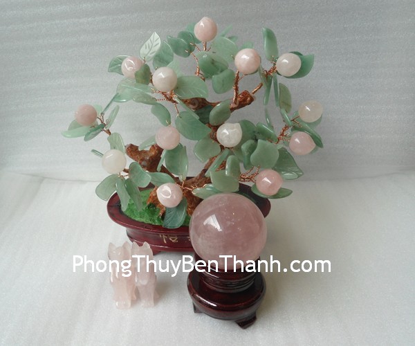 cay-dao-r067-1 cay dao r067 1 Quả đào trường sinh – biểu tượng của may mắn trong hôn nhân