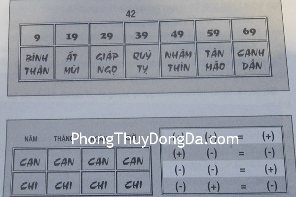 dai van dai van Đại vận bát tự