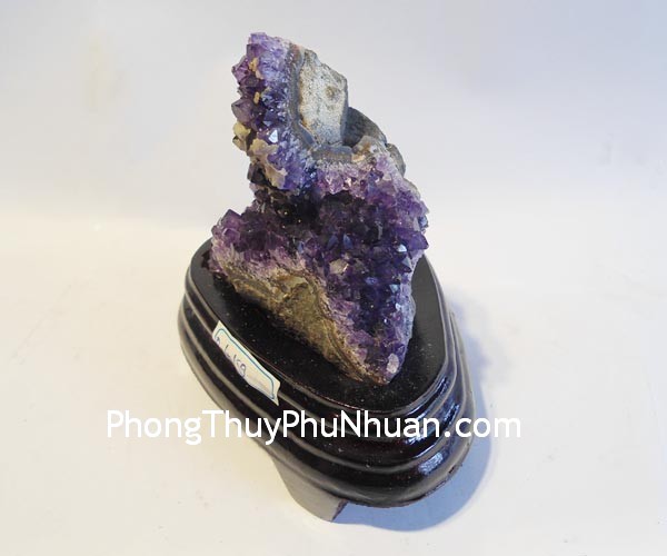 Biện pháp để tăng cường Đào hoa
