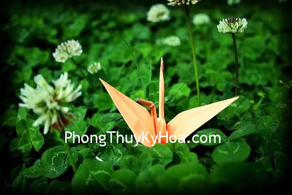Kích hoạt góc Tây – Bắc để cải thiện vận may.