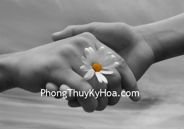 1351062066_chuyen-vo-chong-4 1351062066 chuyen vo chong 4 Theo hướng Quái số có nên ngủ riêng không?