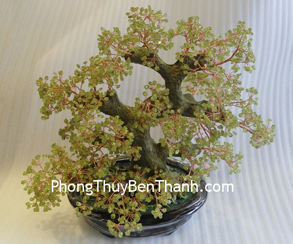 Cây cẩm thạch rất được người Trung Quốc ưa chuộng