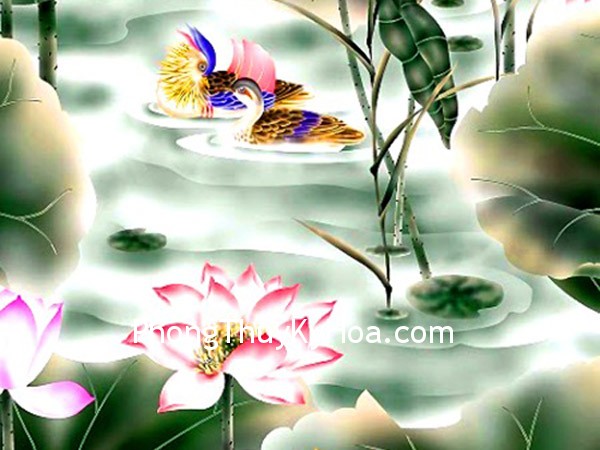 Hy vọng may mắn trong tình yêu