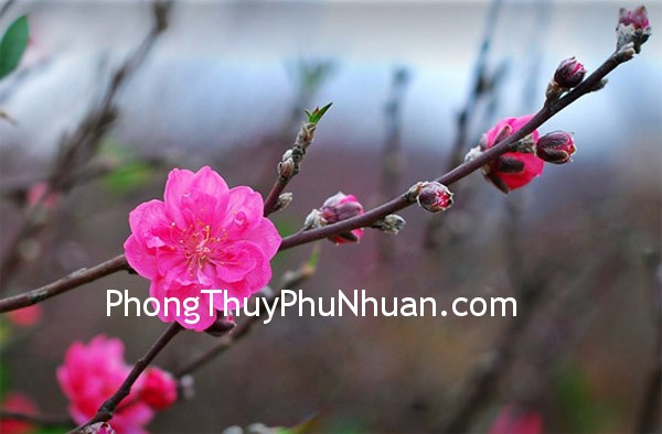 Khắc phục sự vô duyên của đối tượng (Phần 2)