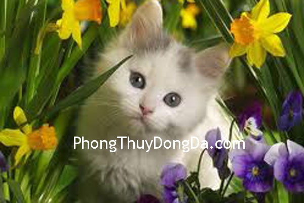 meo Phương pháp tìm ra quý nhân trong mệnh (P2)